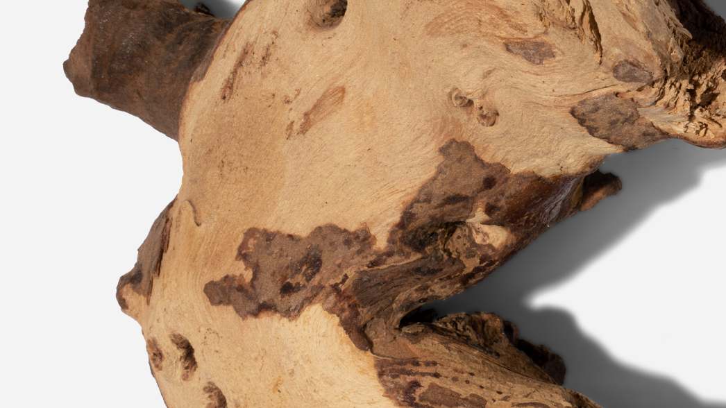 Santelipuusta Bergamot: Sandbergand: Suositun tuoksunuotin ymmärtäminen: Suositun tuoksunuotin ymmärtäminen